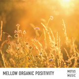 Mellow Organic Positivity_cover